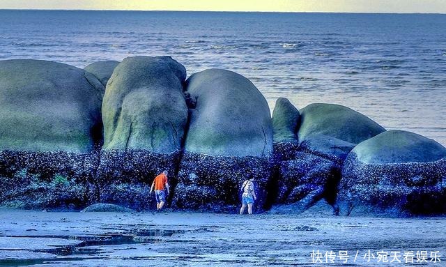 母猪石|中国海岸线绵长优美，除了三亚北海为何还要看三娘湾，因为原生态