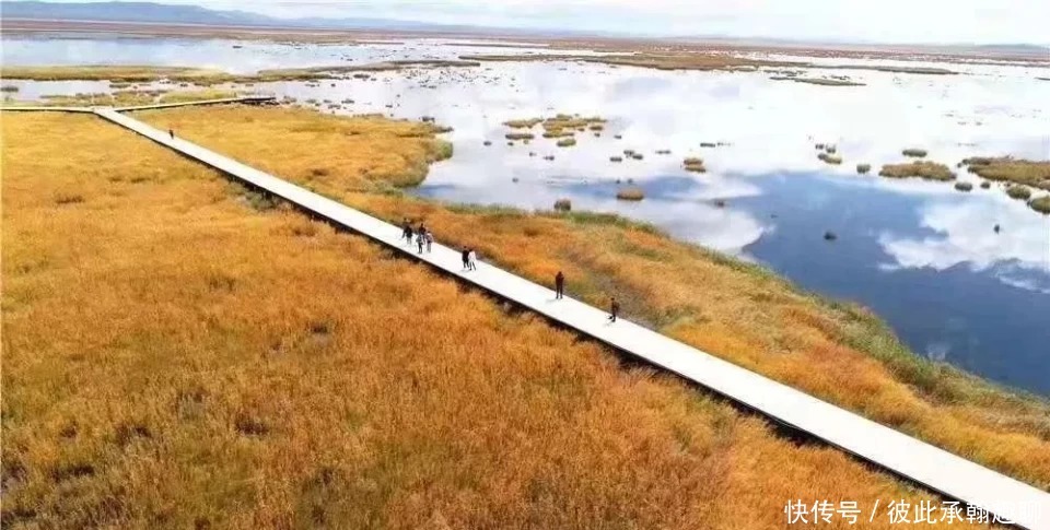 走，去阿坝州高原上看“海”！