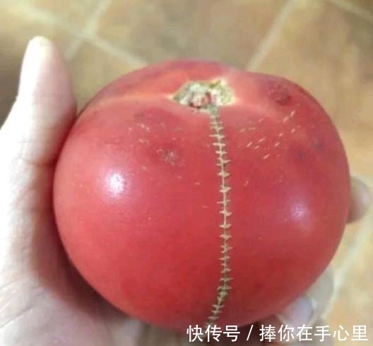 |搞笑图片幽默段子笑话:孩子从小就很有志向啊,挺不错的哦,哈哈