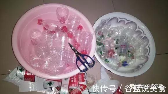 塑料瓶扔了太可惜！用来养绿萝，效率高，成活快，一养一大片！