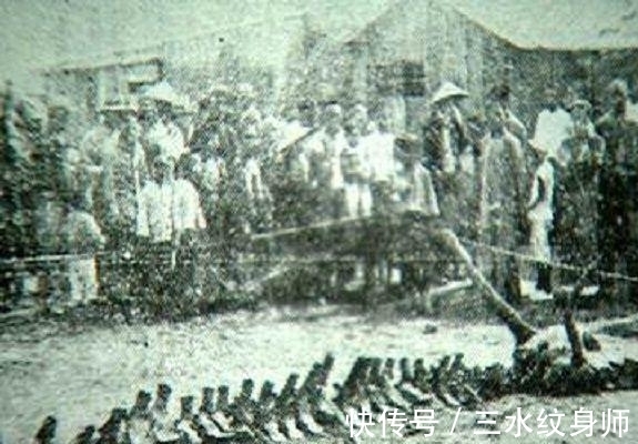 赵口#关于龙的记载和传说有很多,但是却又很少有人亲眼见过真的龙