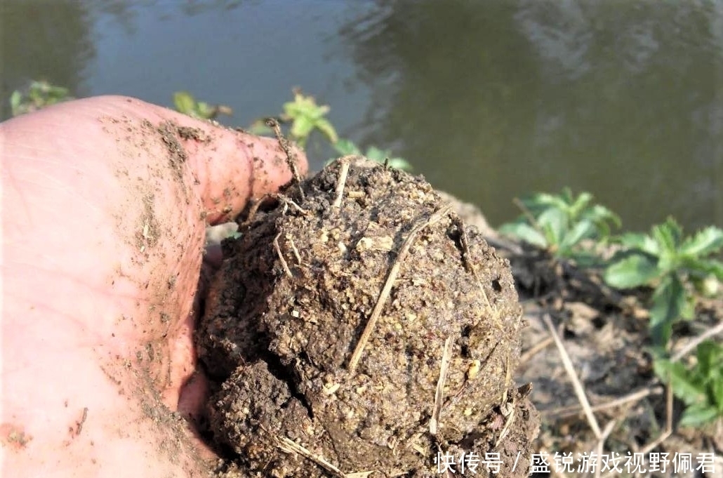 浮漂|野钓打窝没鱼口?找对窝料,选对方法,惊喜不断