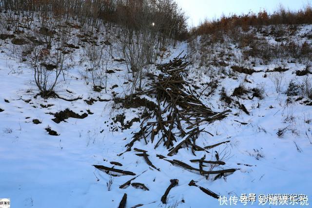 鸭绿江畔村子仅1户人家，雪山上放牛，冬天上山砍柴