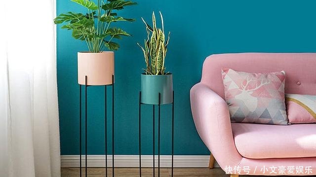 阳台|如何打造漂亮阳台?新颖“花架”,打造您的私人花园