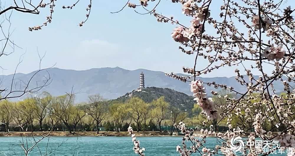 桃花含笑映湖面 颐和园又迎一年赏春时