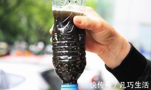 营养价值|黑芝麻、白芝麻哪种营养价值最高?吃芝麻有哪些好处?明确告诉你