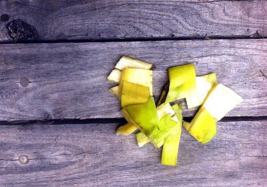 香蕉皮用来养花,具体方法是这样的,一起学一学