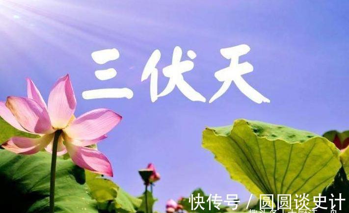 卡路里|三伏天最适合吃的减肥餐，“少吃2肉多吃2白”，营养美味还减脂