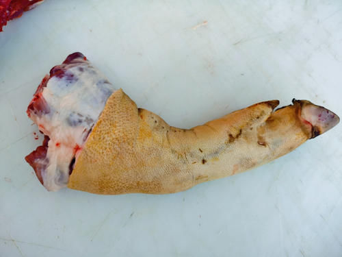 卤猪蹄,“前蹄”和“后蹄”要分清,差别挺大,弄错了难吃花冤枉钱