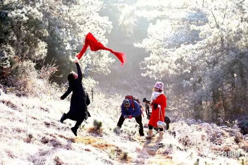 许琼|快看,又下雪了!