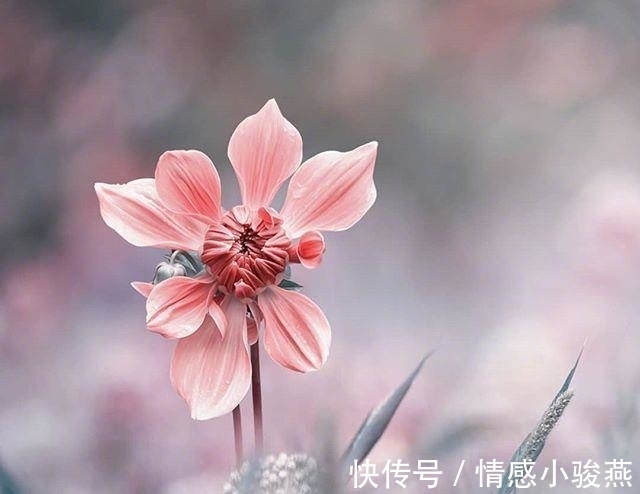 会议论$看到内心都发颤的话,句句精品,道尽人生百态!