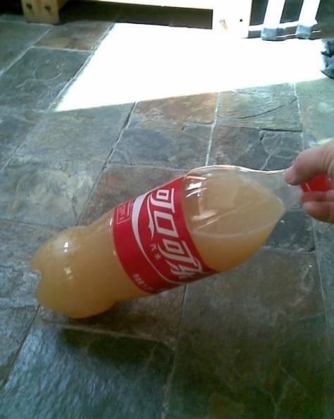 鱼骨|他养花“自制”有机肥,1月只浇“2瓶盖”,效果惊人,花肥不用买