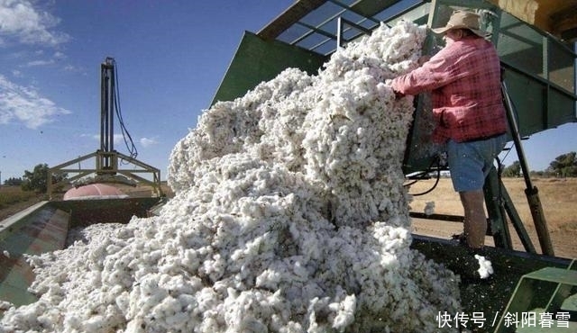 澳洲|中方叫停澳洲又一商品进口,澳官员要求必须解释,凭什么不买!