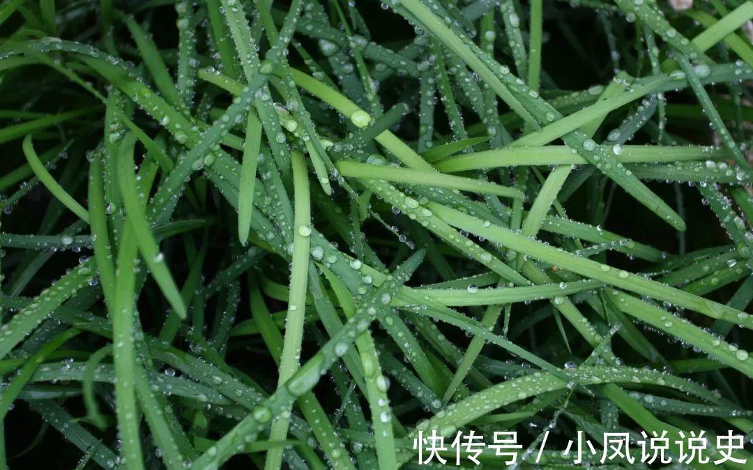 烛光&杜甫最真的一首诗,少年时读不懂,中年后再读泪流满面