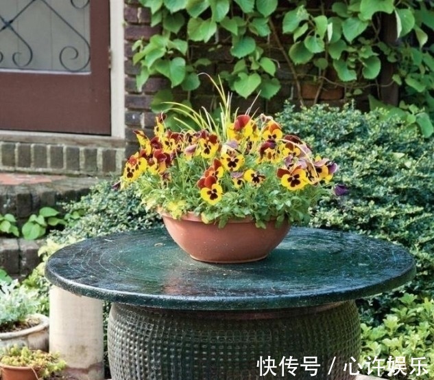 任何容器都能用来做花盆，请收好这30种美丽的花盆搭配设计