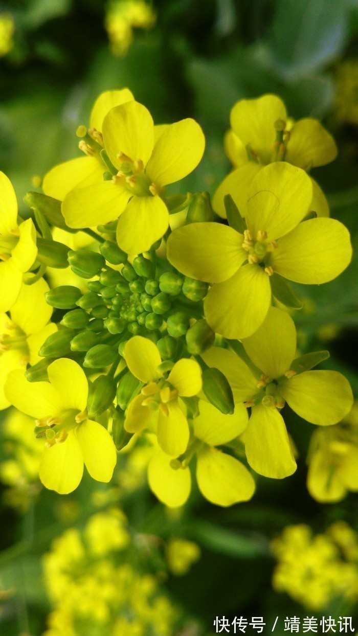 春光灿烂$很有意境的句子,生活是个万花筒,酸甜苦辣尽藏其中