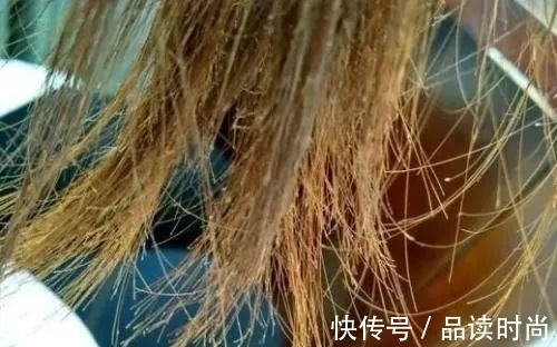 护理|新年从“头”开始,受损发质请护理一下好吗?