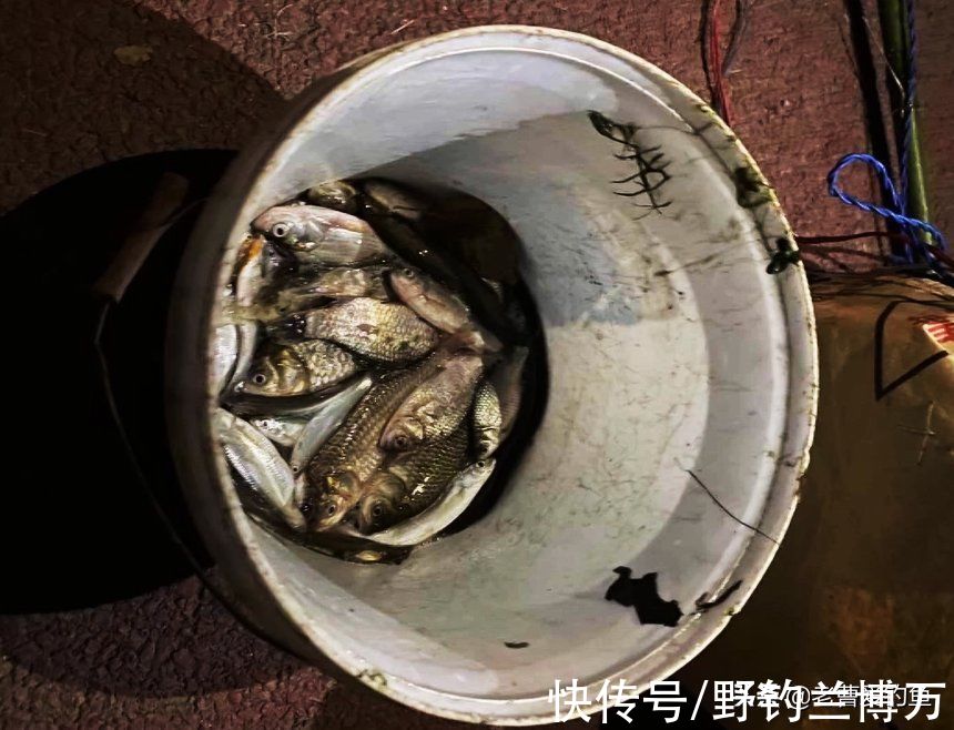 想让鱼活的时间长点,给鱼穿上“救生衣”,老钓友:脑子让驴踢了