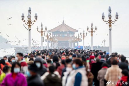 大年初一，栈桥海鸥被“喂饱了”