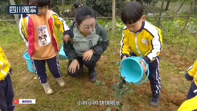 植树节特别的一课：我来栽下一棵树