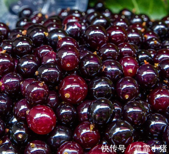 酸梅|子宫肌瘤的“死对头”,女人常吃,有助活血化瘀,子宫温暖健康