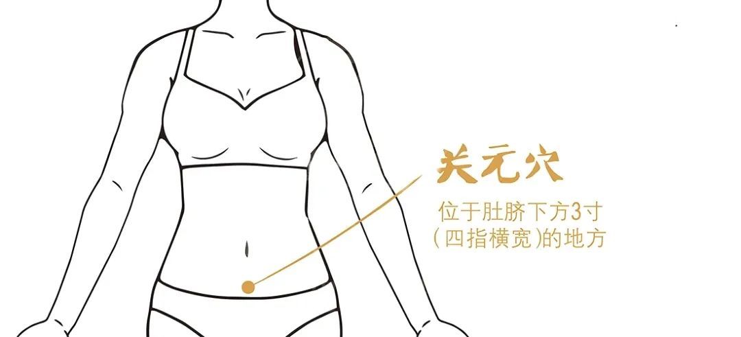 黑豆|冬季进补，补肾最为重要，养肾指南，人手一份！