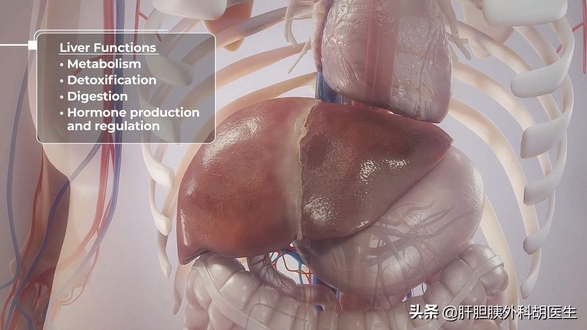 脂肪性|远离脂肪肝危害，逃离亚健康泥潭