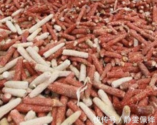 养花别再买营养土,盆里掺1把“废料”,土壤疏松透气,花开不停