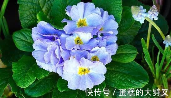 余生|下半年,红尘滚滚,尽余生慷慨,奋力一搏,牵手良人,今生不变