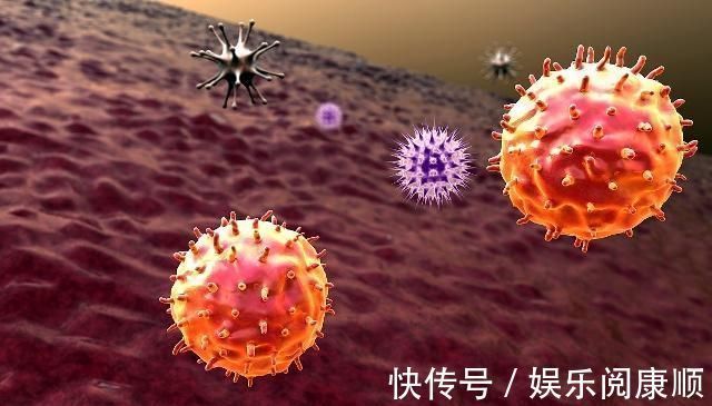 慢性疾病|什么样的人更易患上癌症?胖子还是瘦子?看完后你就知道了!