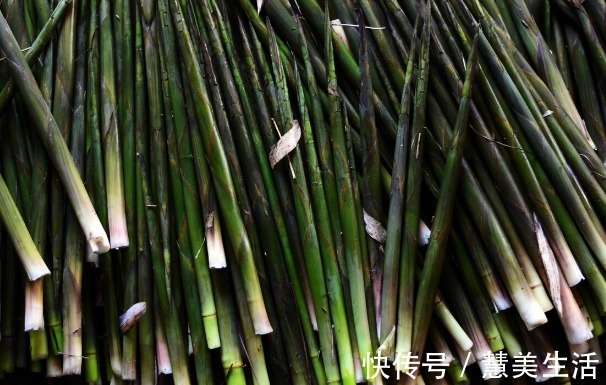 小根|65种野菜图片，带你认识不同的野菜和吃法，你想要的野菜这里都有