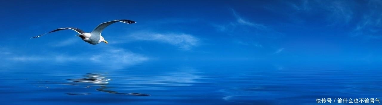 假如你在黑洞内生存, 瞬息万变。