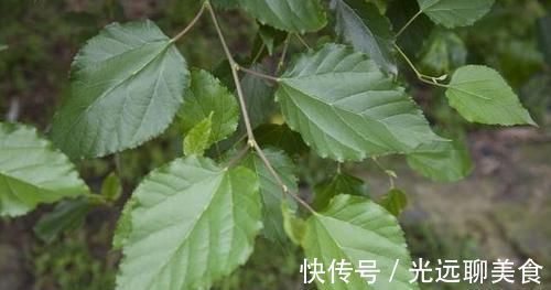 血压|这个时间段是高血压的“魔鬼时间”，想稳住血压，做好3点就足够