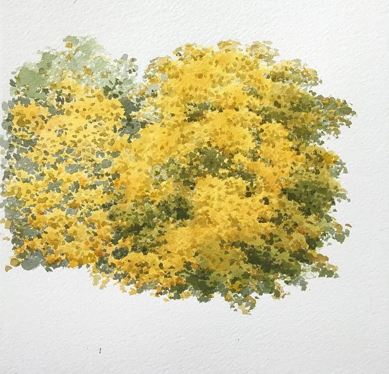  树叶|点、点、点，水彩画树就是这么简单！