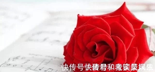 占卜|塔罗占卜：4朵玫瑰，你觉得哪朵最先枯萎？测你在多少岁会显老！