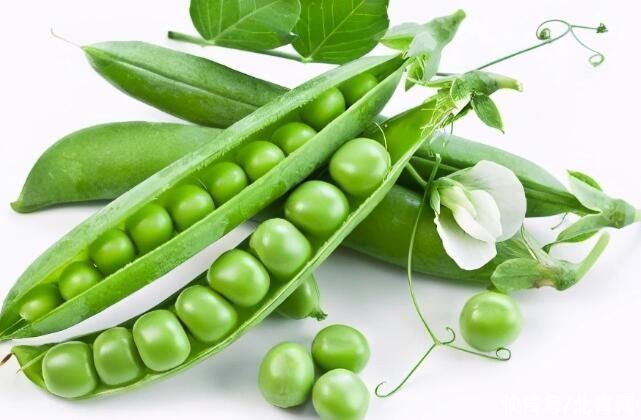 更年期女性|富含植物性雌激素的5种食物,更年期女性要常吃