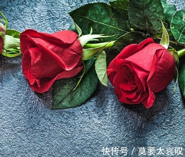 痛经|酸奶加它,一周淡斑美白肌肤,知道的人都说好