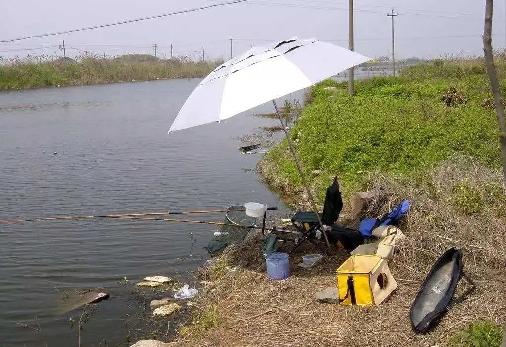 熟悉掌握钓点的这四个特征,真的不用经常去找新钓点