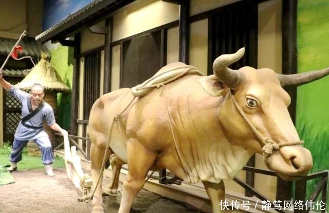 官僚地主|南宋初年钟相、杨幺起义,是封建社会阶级矛盾发展到新阶段的反映