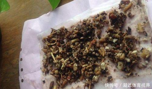 养花需谨记合理施肥，注意''3要素''，盆栽开花又大又漂亮