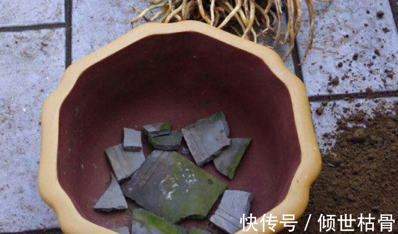 用对方法养花很关键!植物上盆前“掺”它们,土壤就不会结块