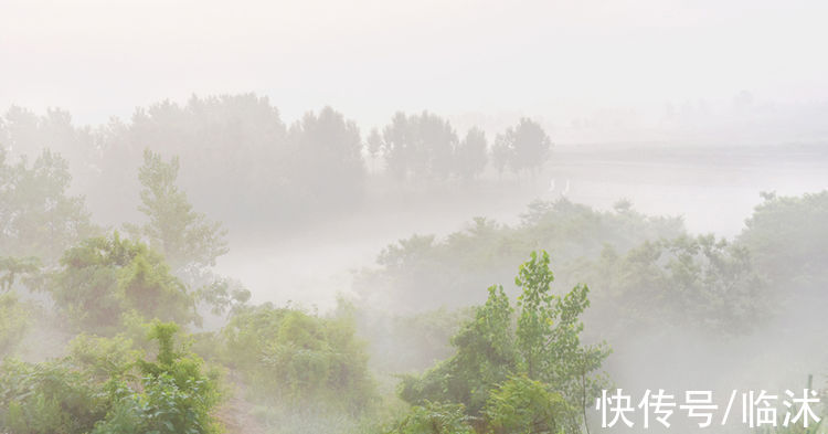 情定三生|美丽的苍马山