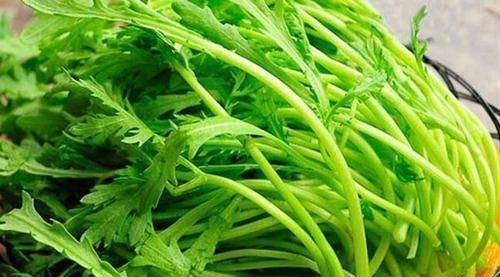 并发症|90岁老人患糖尿病40年，她说常吃这种菜，糖尿病人照样可以长寿！