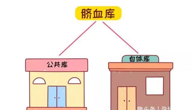 移植|花几万块给娃存的“脐带血”,关键时刻真的能救命吗?