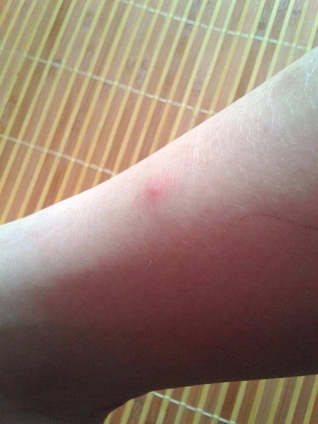 肌肉鸡|伍六七:十三的刀被挡下,还被肌肉鸡直接掰断,什么鬼啊!