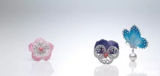 珍珠|亲临MIKIMOTO珠宝基地,揭秘顶级珍珠诞生的背后真相