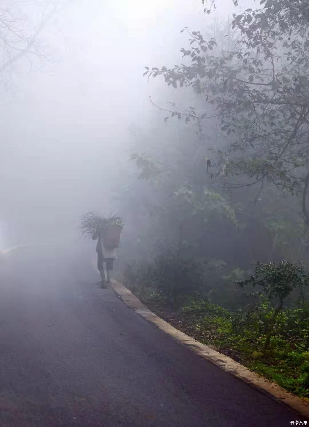 美丽如画的云南元阳梯田(一)