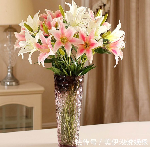 失眠|提醒:这12种“漂亮花”,不适合养在室内,别不当回事