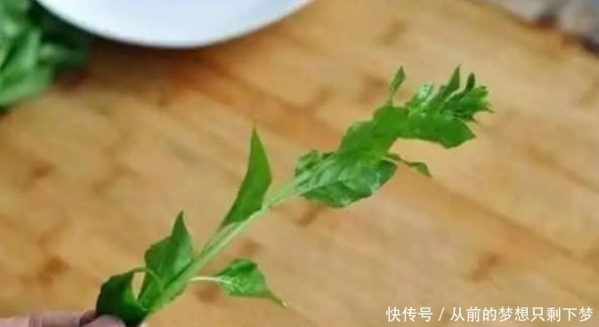 清甜美味|据说这种野菜常在坟地里，如今几十元一斤，要是你你敢去摘吗