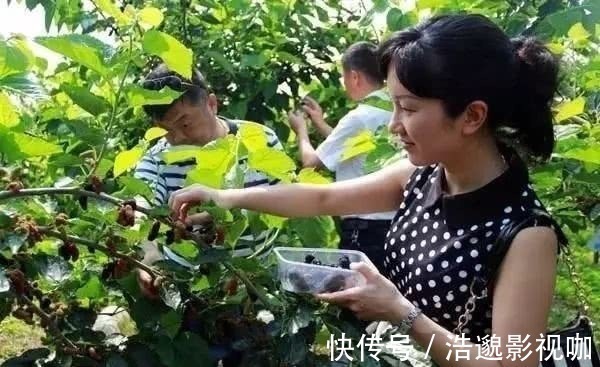 鹿茸|鹿茸人參靠邊站，真正的補腎猛將，男人敞開食，喚醒雄激素